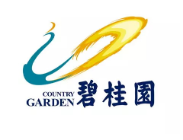 霞山碧桂园地产